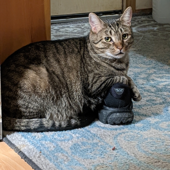 NOT FOR SALE - Picture 2 of 12